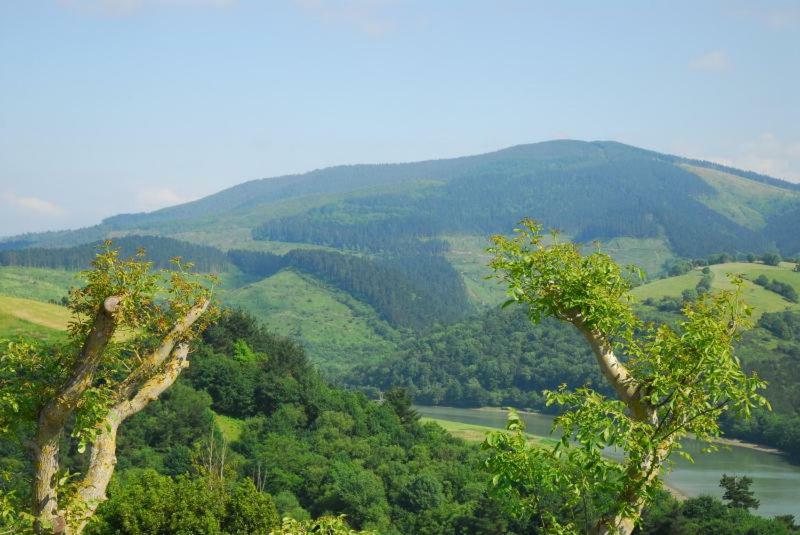 Casa Rural Erretzabal Txiki Orio Zewnętrze zdjęcie