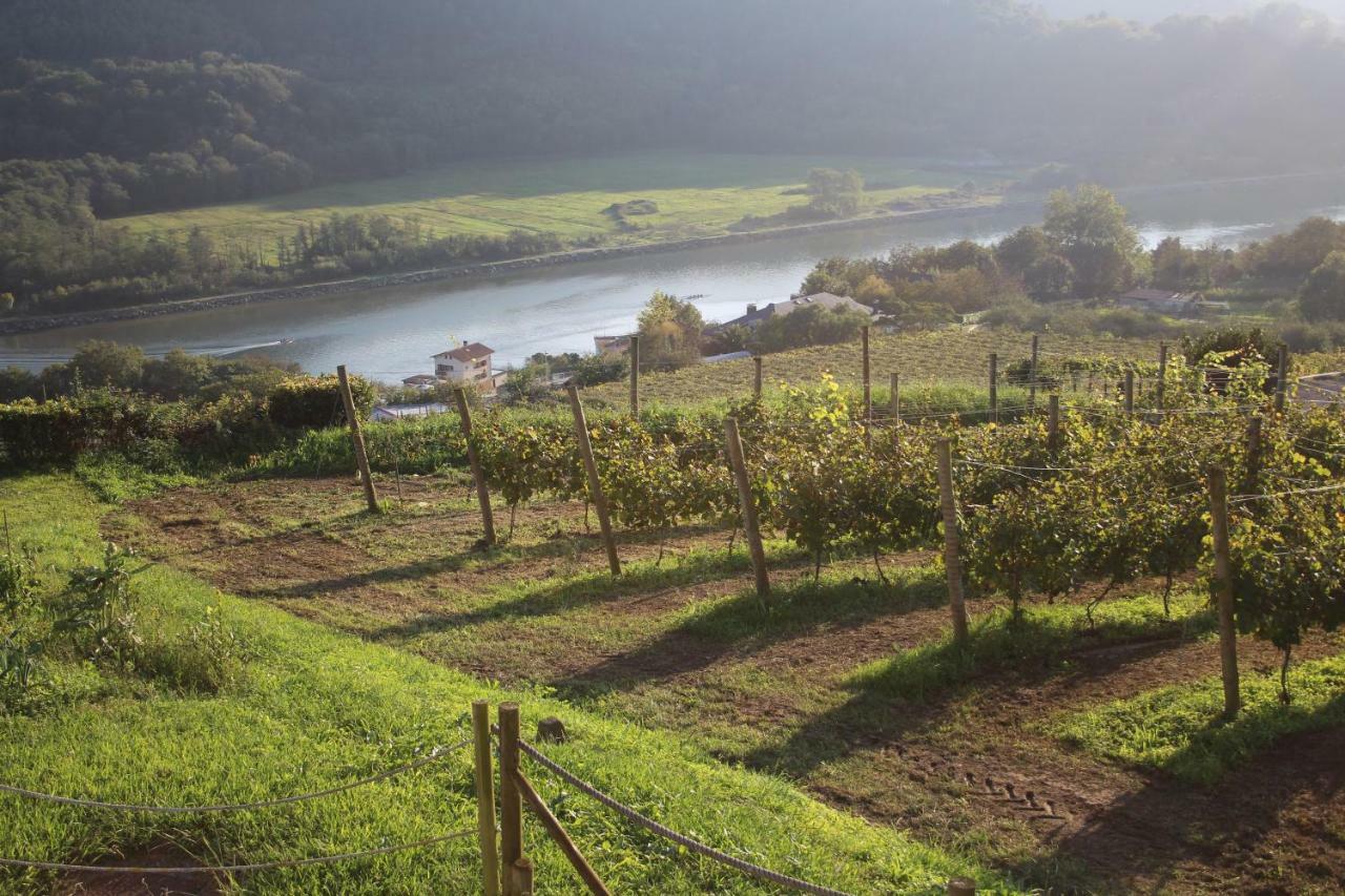 Casa Rural Erretzabal Txiki Orio Zewnętrze zdjęcie